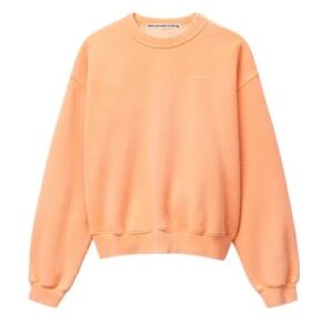 Alexander Wang Sweatshirt